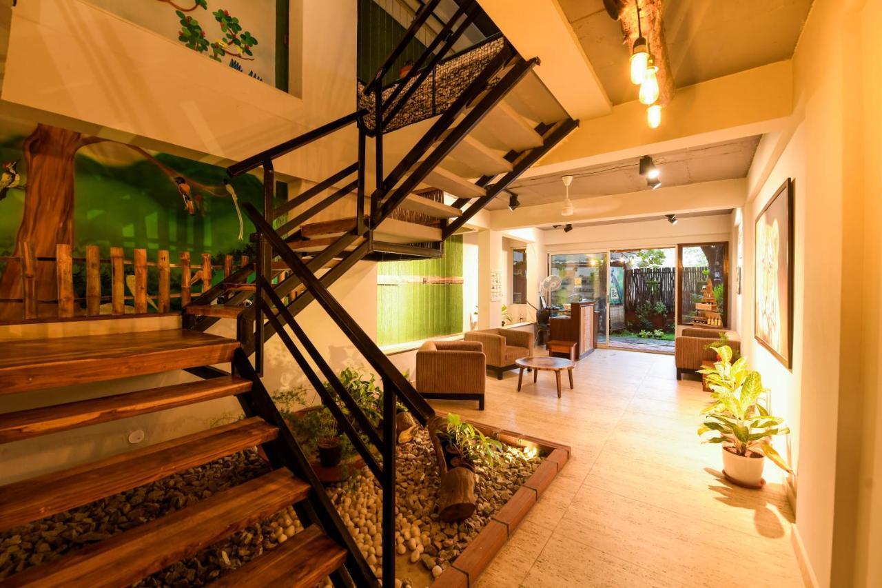 Safari Quest Hotel