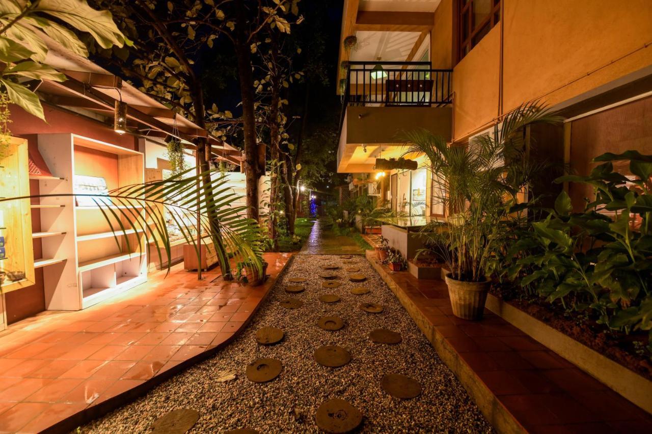 Safari Quest 4* Mysore