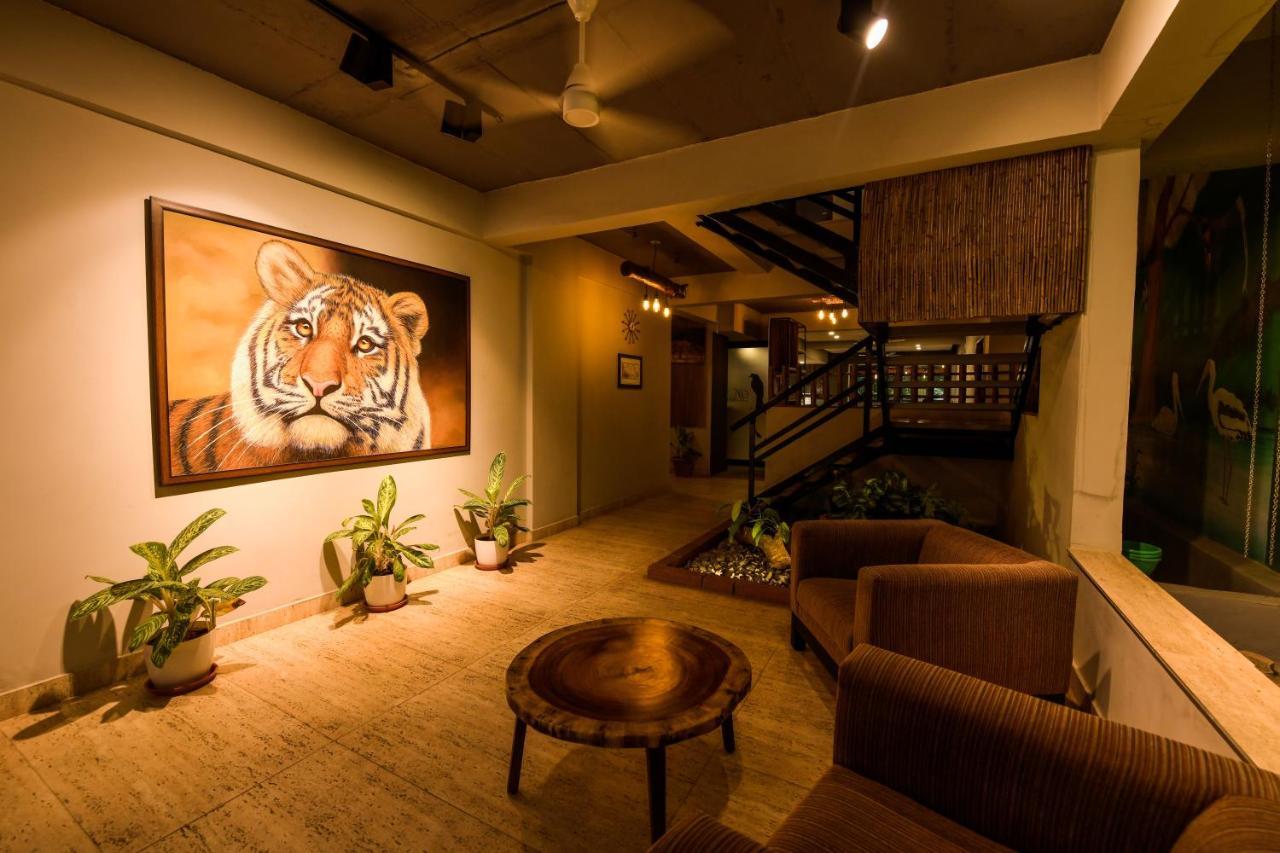 Safari Quest Hotel