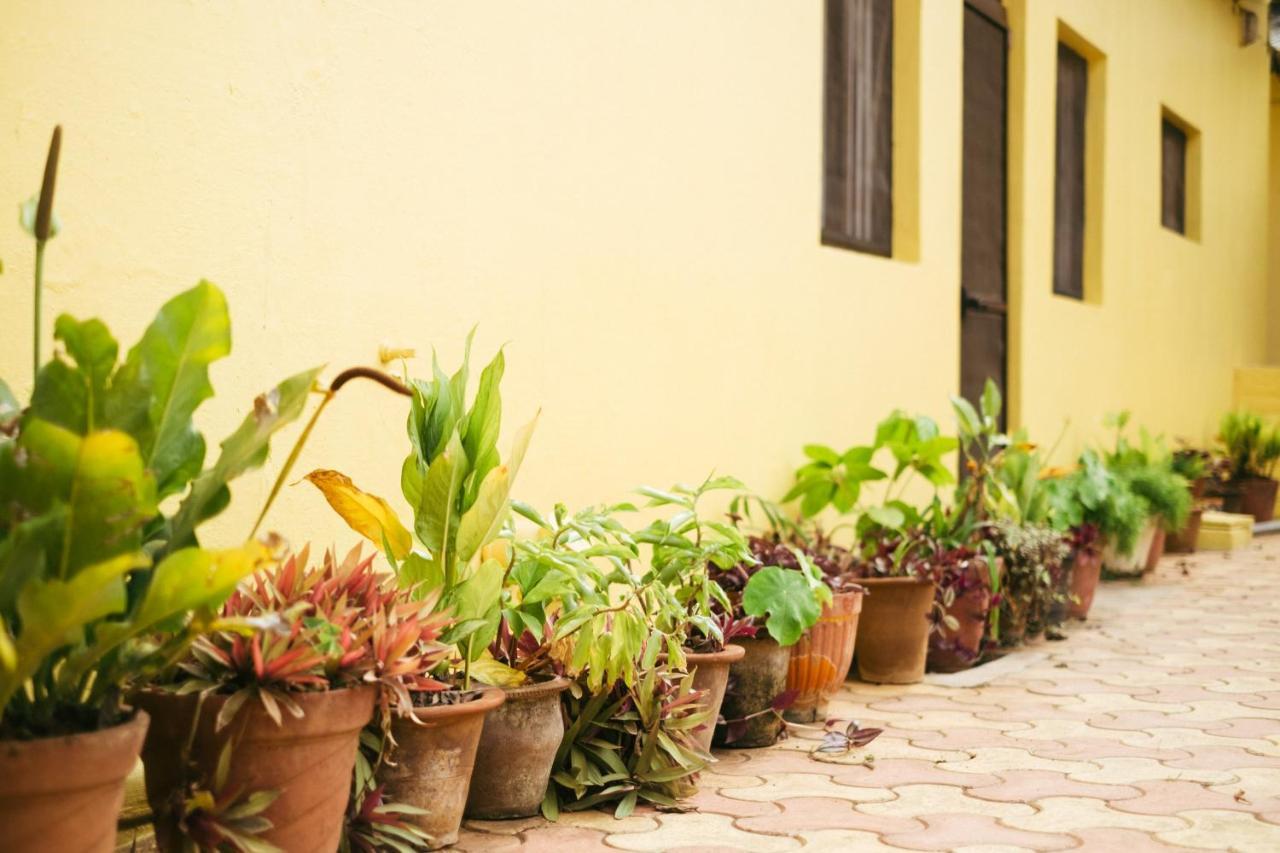 Villa Laika Heritage By Evaddo Mysore