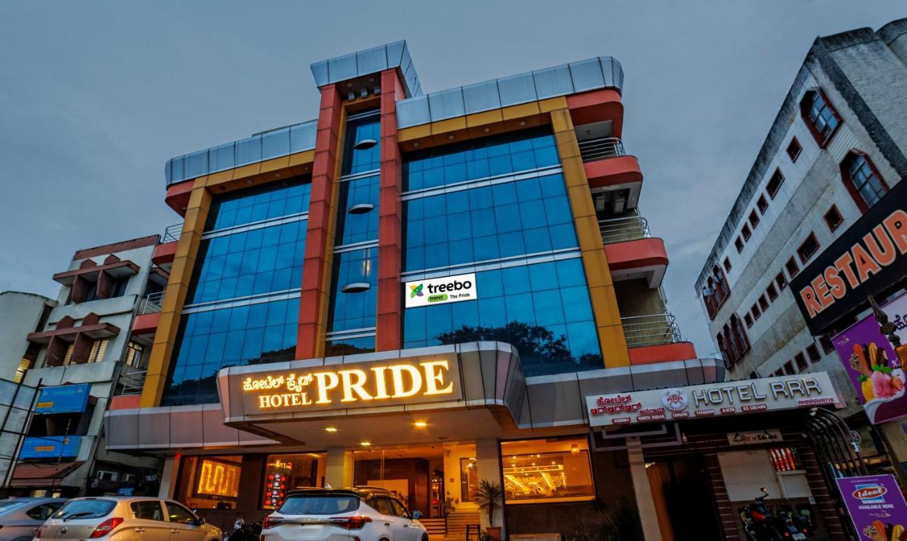Treebo Trend Pride Hotel 3*