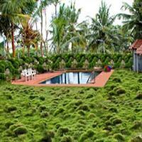 Bombay Tiffanys Lodge