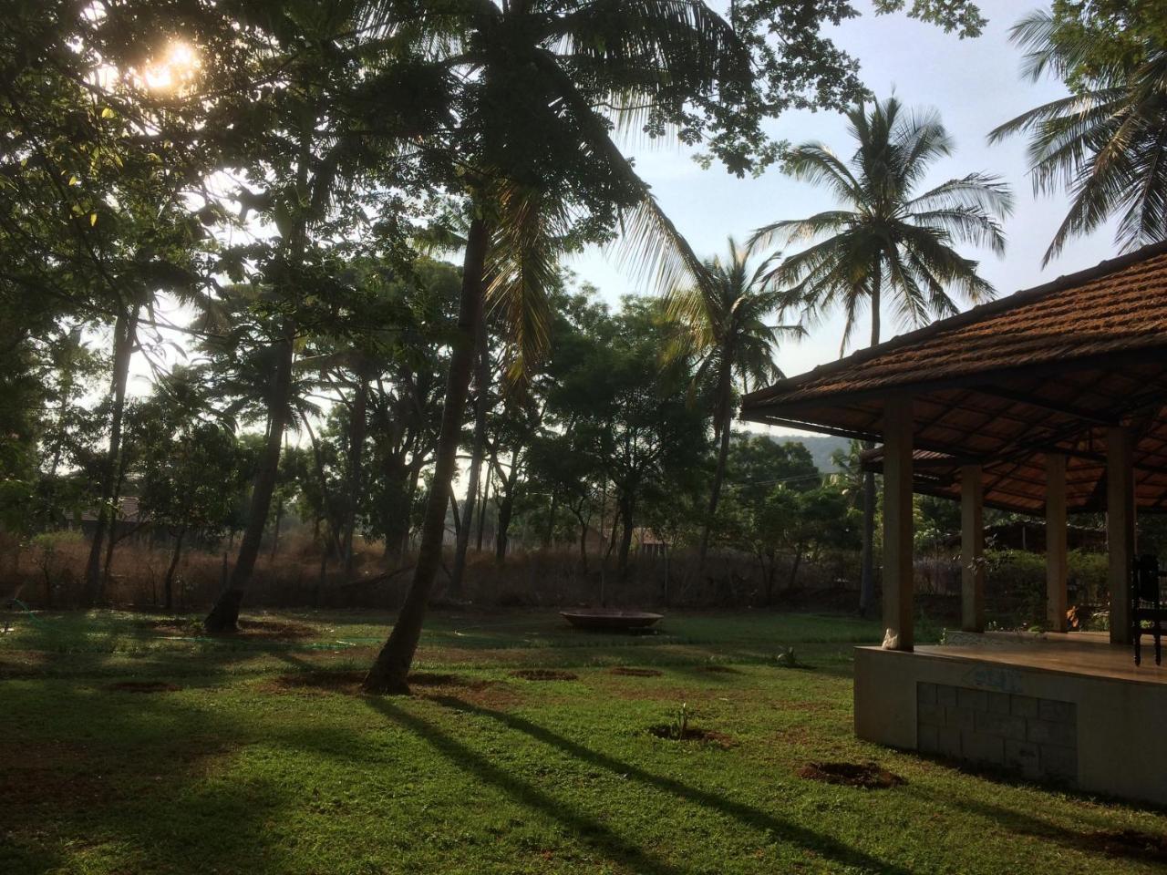 Hammock